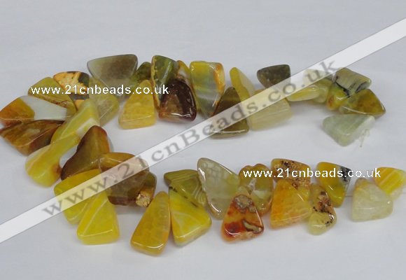 CAG8543 Top drilled 15*20mm - 25*30mm freeform dragon veins agate beads