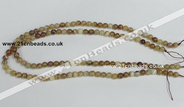 CAG936 16 inches 6mm round madagascar agate gemstone beads