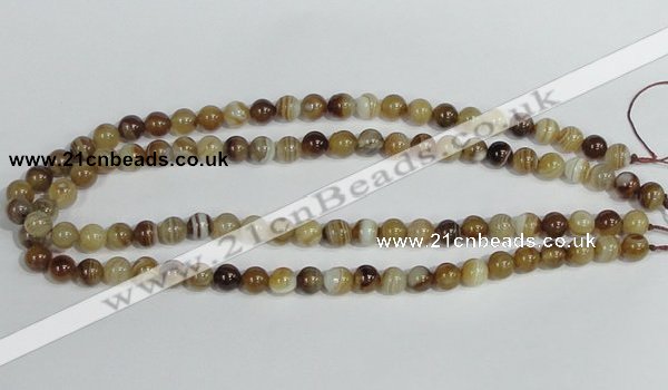 CAG937 16 inches 8mm round madagascar agate gemstone beads