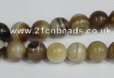 CAG938 16 inches 10mm round madagascar agate gemstone beads