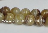 CAG939 16 inches 12mm round madagascar agate gemstone beads