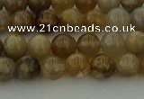 CAG9401 15.5 inches 6mm round ocean fossil agate beads wholesale