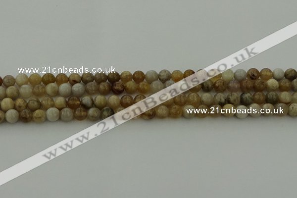 CAG9401 15.5 inches 6mm round ocean fossil agate beads wholesale