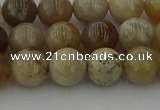 CAG9402 15.5 inches 8mm round ocean fossil agate beads wholesale