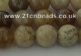 CAG9403 15.5 inches 10mm round ocean fossil agate beads wholesale