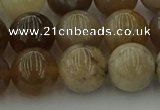 CAG9404 15.5 inches 12mm round ocean fossil agate beads wholesale