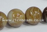 CAG943 16 inches 20mm round madagascar agate gemstone beads