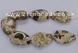 CAG9532 15.5 inches 35*50mm - 38*52mm freeform ocean agate beads