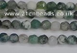 CAG9823 15.5 inches 4mm faceted round moss agate beads