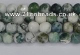 CAG9837 15.5 inches 4mm faceted round tree agate beads