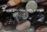 CAG986 15.5 inches 15*20mm faceted oval botswana agate beads