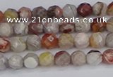 CAG9860 15.5 inches 4mm faceted round Mexican crazy lace agate beads