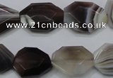 CAG990 15.5 inches 15*20mm faceted freeform botswana agate beads