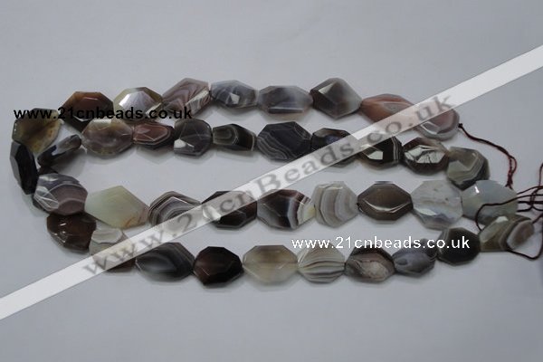 CAG990 15.5 inches 15*20mm faceted freeform botswana agate beads