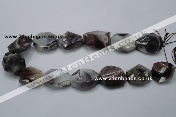 CAG991 15.5 inches 25*30mm faceted freeform botswana agate beads