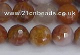 CAG9914 15.5 inches 12mm faceted round red moss agate beads