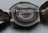 CAG992 15.5 inches 30*40mm faceted freeform botswana agate beads