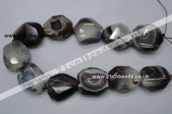 CAG992 15.5 inches 30*40mm faceted freeform botswana agate beads