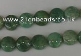 CAM1015 15.5 inches 10mm flat round natural Russian amazonite beads