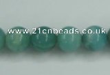 CAM137 15.5 inches 12mm round amazonite gemstone beads wholesale