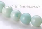 CAM18 15.5 inches round natural amazonite 10mm beads wholesale