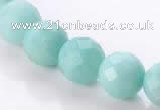 CAM29 natural amazonite faceted round 12mm stone beads Wholesale