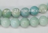 CAM601 15.5 inches 12mm round Chinese amazonite gemstone beads