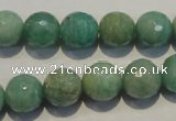 CAM815 15.5 inches 12mm faceted round Brazilian amazonite beads