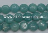 CAM914 15.5 inches 10mm flat round amazonite gemstone beads wholesale