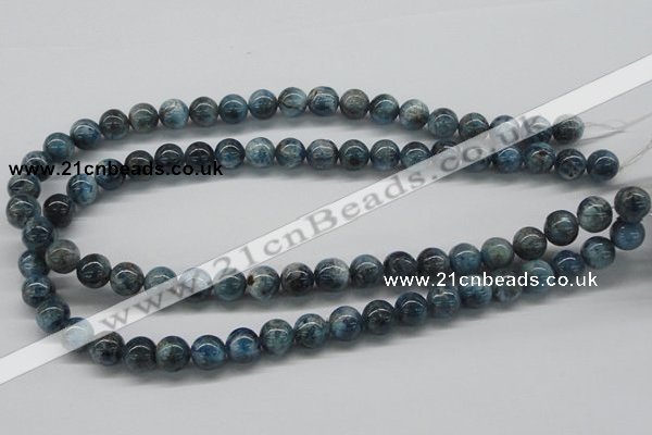 CAP06 15.5 inches 10mm round apatite gemstone beads wholesale