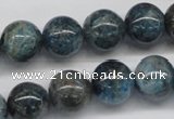 CAP07 15.5 inches 14mm round apatite gemstone beads wholesale