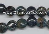 CAP08 15.5 inches 12mm flat round apatite gemstone beads wholesale