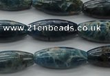 CAP310 15.5 inches 11*25mm rice natural apatite gemstone beads