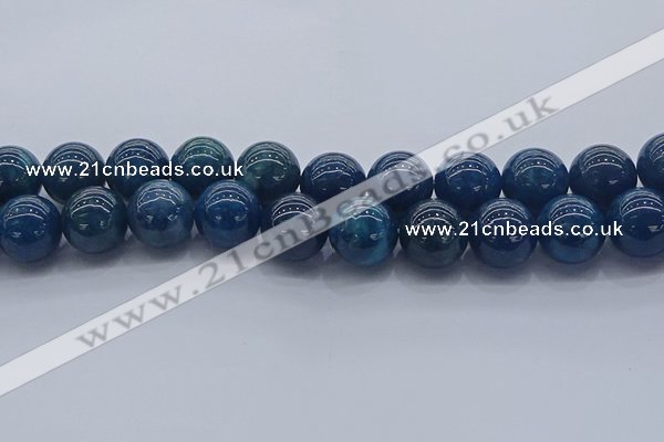 CAP367 15.5 inches 18mm round apatite gemstone beads wholesale