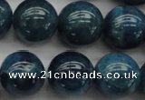 CAP403 15.5 inches 10mm round A grade natural apatite beads