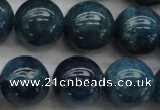 CAP403 15.5 inches 10mm round A grade natural apatite beads