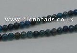 CAP51 15.5 inches 4mm round dyed apatite gemstone beads wholesale