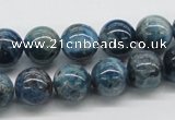 CAP55 15.5 inches 12mm round dyed apatite gemstone beads wholesale