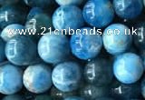 CAP577 15.5 inches 6mm round apatite beads wholesale