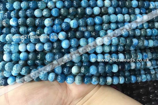 CAP577 15.5 inches 6mm round apatite beads wholesale