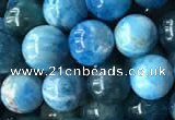 CAP578 15.5 inches 8mm round apatite beads wholesale