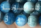 CAP579 15.5 inches 10mm round apatite beads wholesale