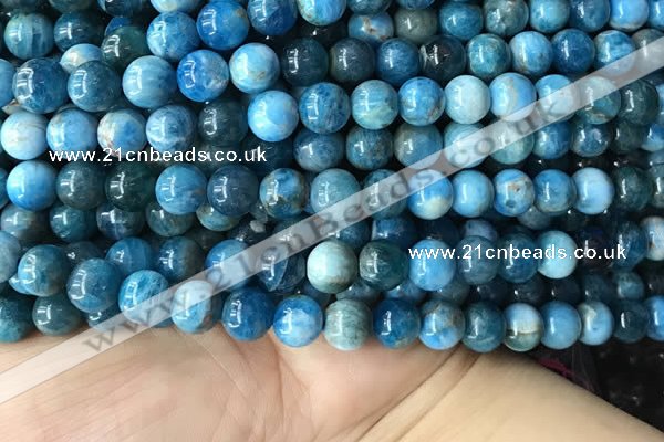 CAP579 15.5 inches 10mm round apatite beads wholesale