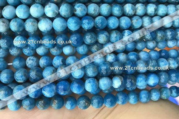 CAP590 15.5 inches 10mm round apatite beads wholesale