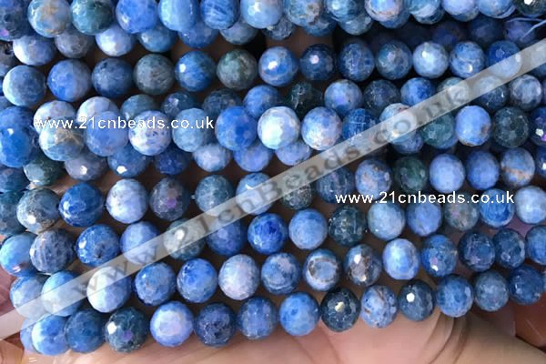 CAP595 15.5 inches 9mm faceted round apatite gemstone beads