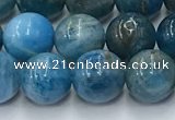 CAP631 15.5 inches 8mm round apatite beads wholesale