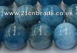 CAP632 15.5 inches 10mm round apatite beads wholesale