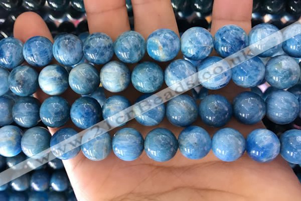 CAP643 15.5 inches 12mm round natural apatite gemstone beads