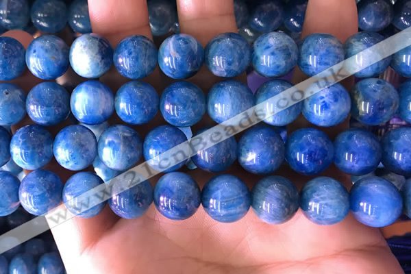 CAP644 15.5 inches 12mm round natural apatite gemstone beads