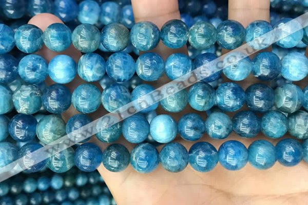 CAP653 15.5 inches 10mm round natural apatite beads wholesale